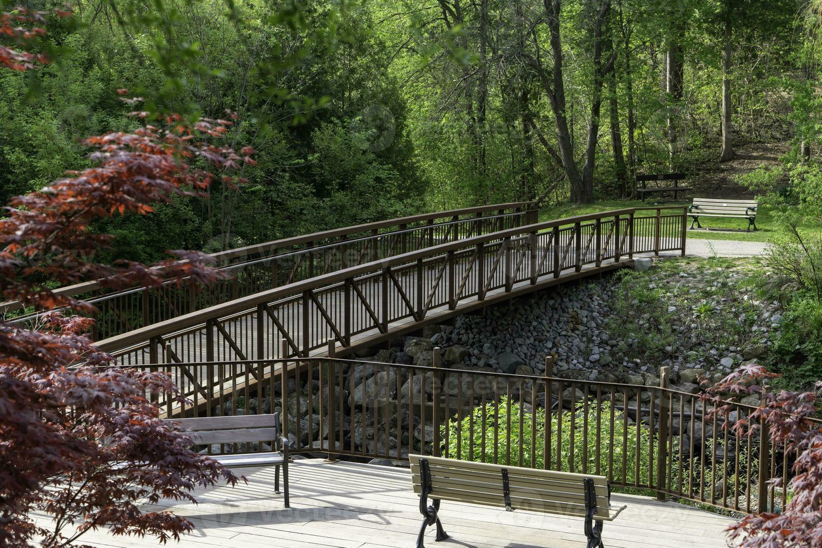 Edwards Botanical Gardens Pedestrian Bridge